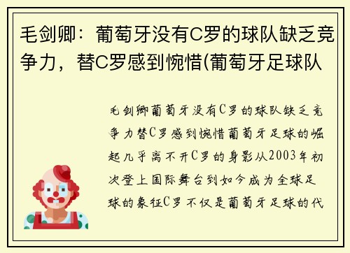 毛剑卿：葡萄牙没有C罗的球队缺乏竞争力，替C罗感到惋惜(葡萄牙足球队队长c罗)