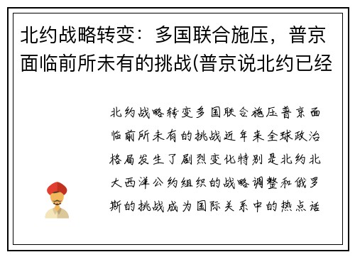 北约战略转变：多国联合施压，普京面临前所未有的挑战(普京说北约已经没有存在的必要了)